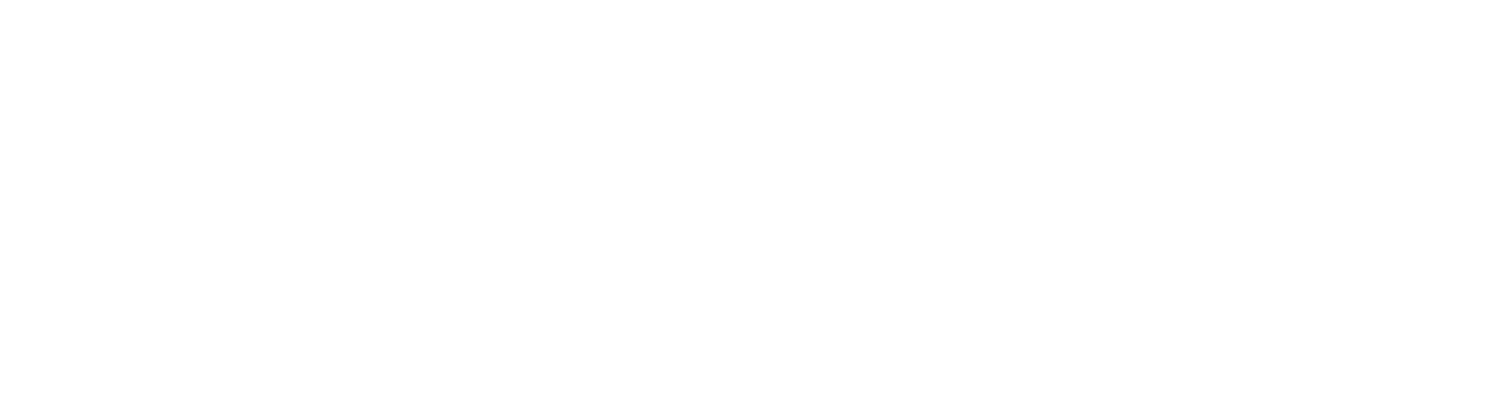 Dr. Nestor Bertin